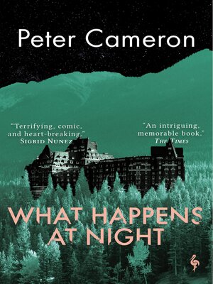 cover image of What Happens at Night